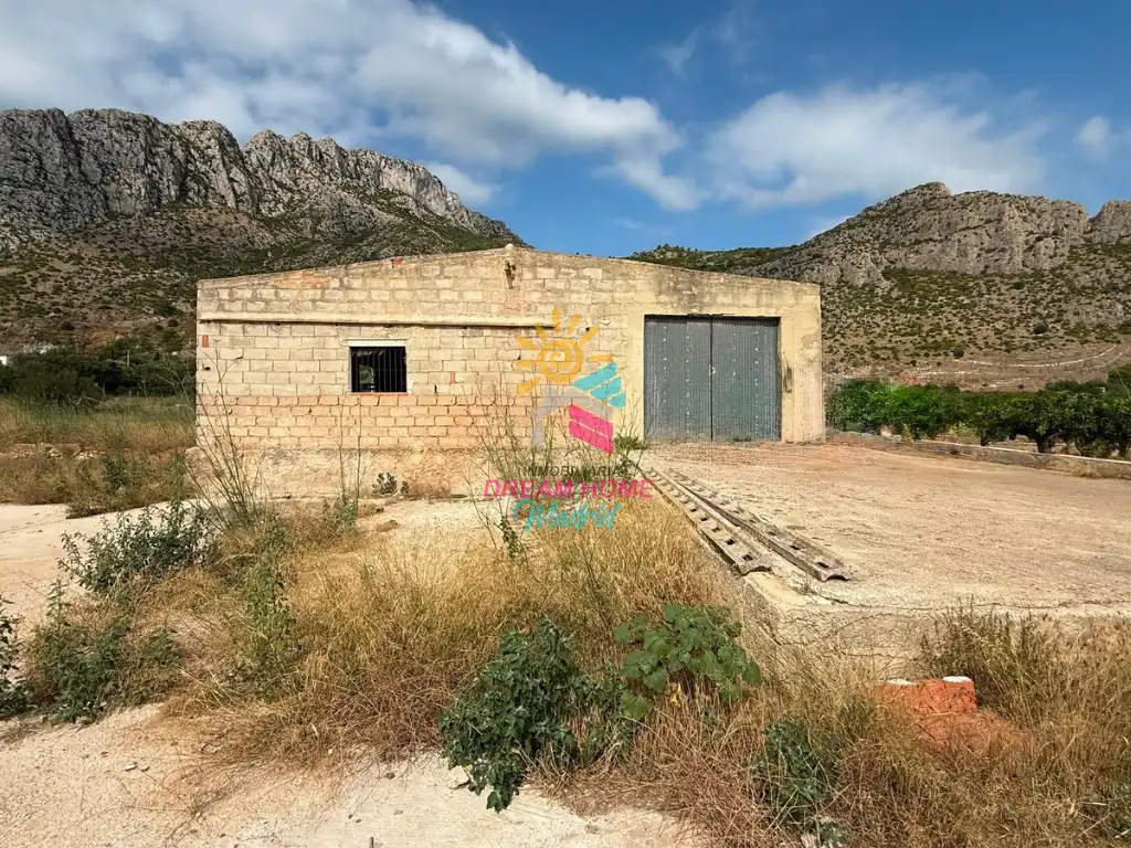 Vista exterior de Finca rústica en venta en Alicante / Alacant