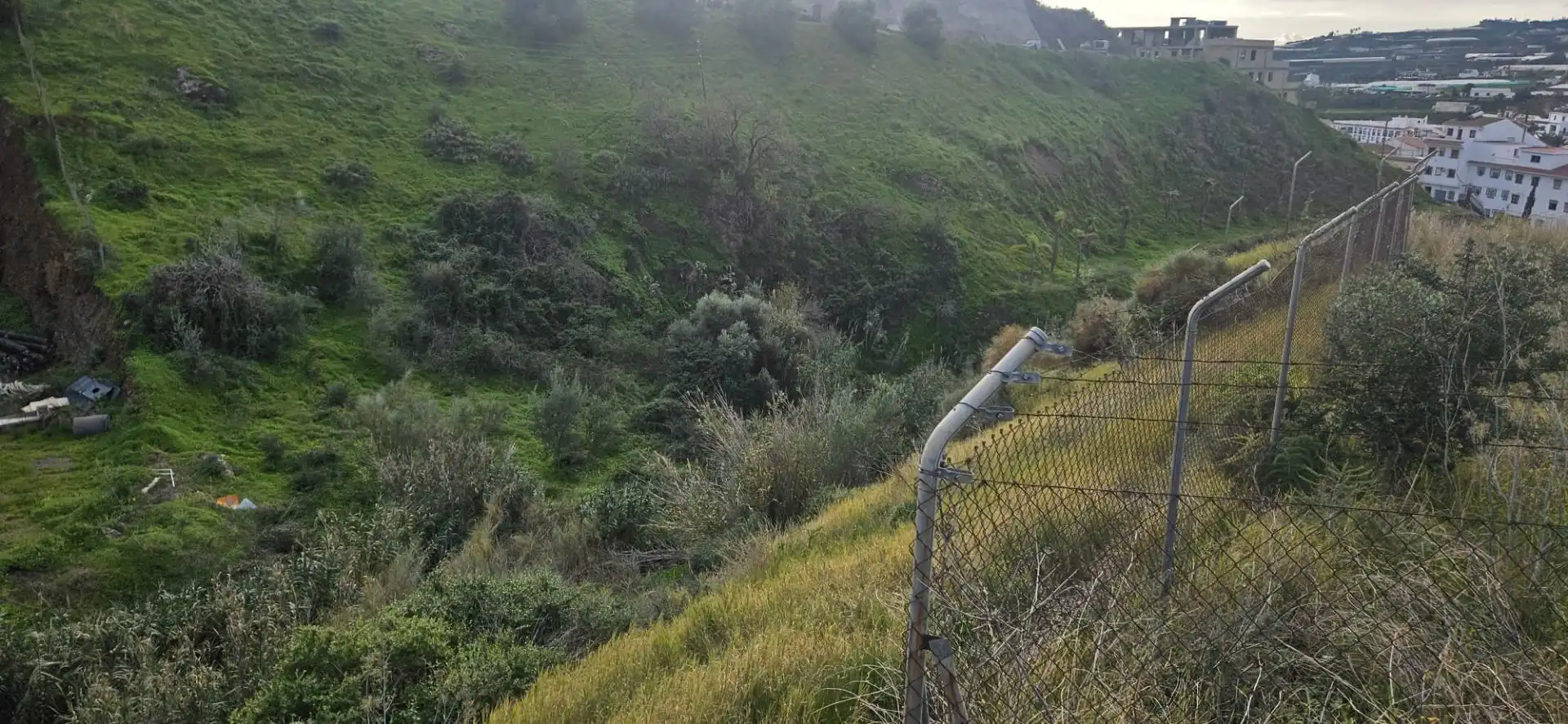 Terreny rústic en venda a Algarrobo pueblo