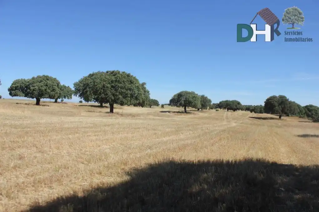 Terrenys i solars en venda a San Bernardo - Carmelitas - Campus, imagen 5