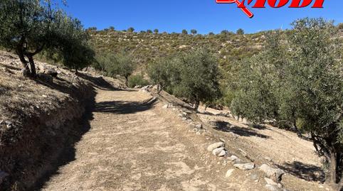 Foto 3 de Finca rústica en venda a Lecrín, Granada