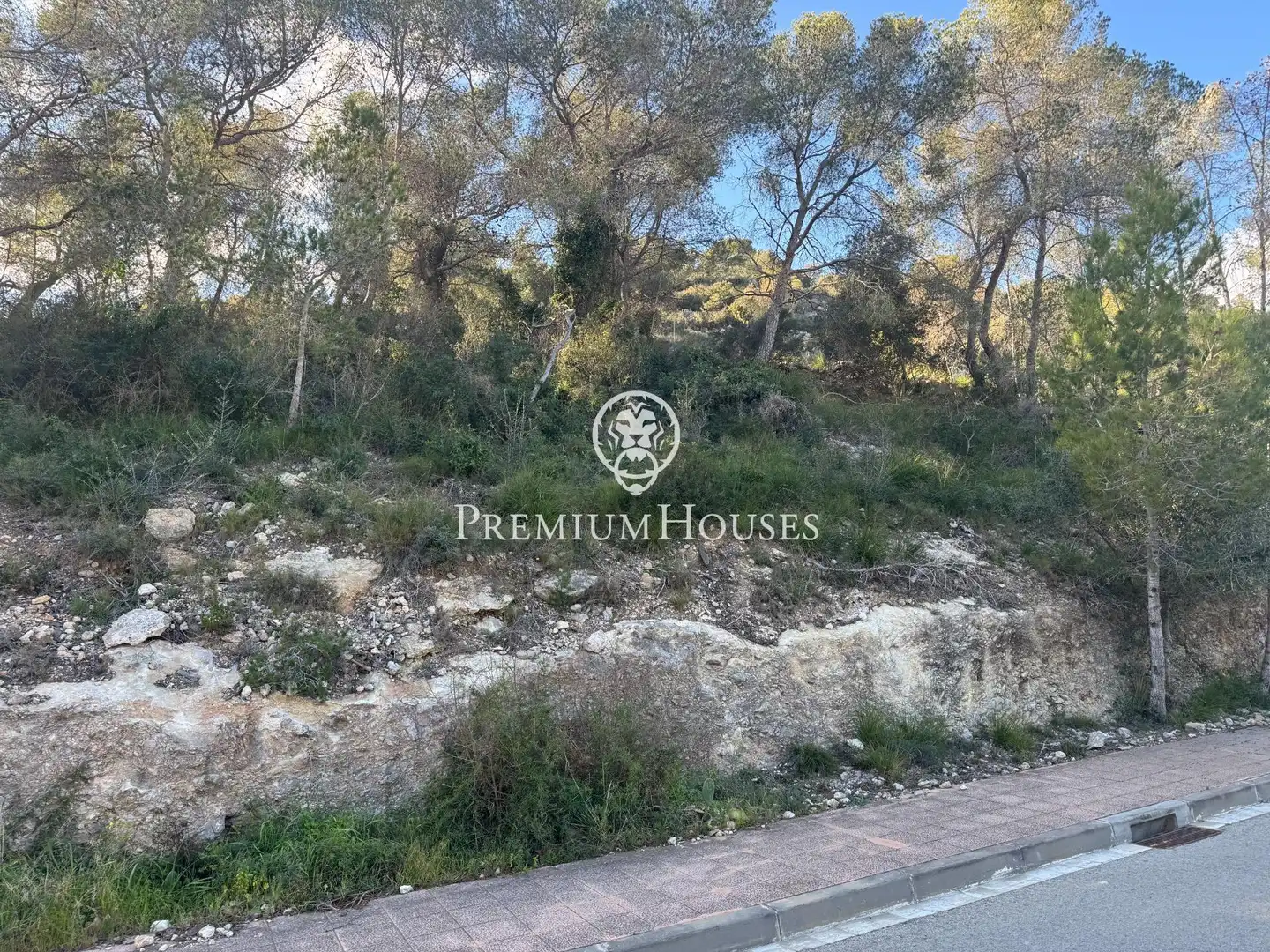 Residential land for sale in Mas Alba, imagen 11