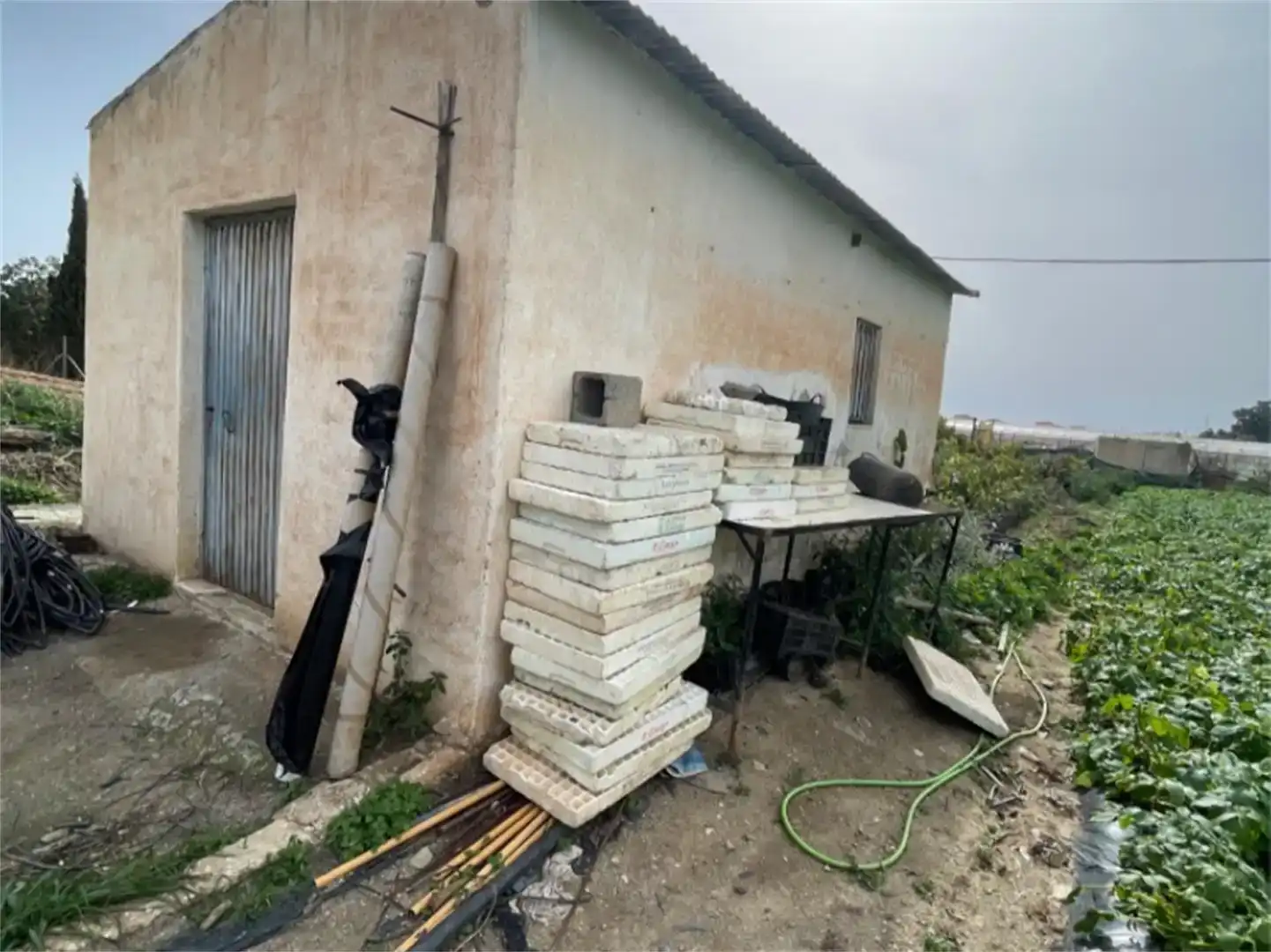 Finca rústica en venda en Algarrobo