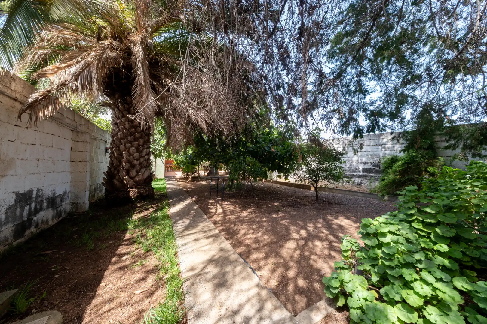 Casa amb jardí en venda a Calle el Cercadillo 1, imagen 7