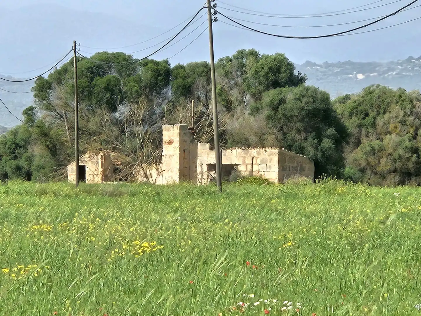 Exterior view of Land for sale in  Palma de Mallorca