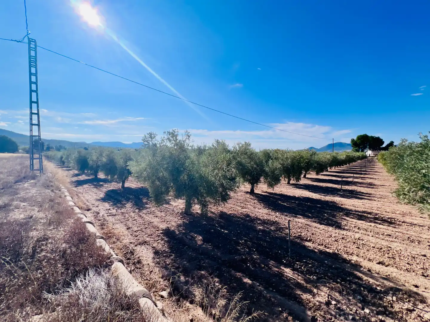 Country homes for sale in Castalla, Alicante