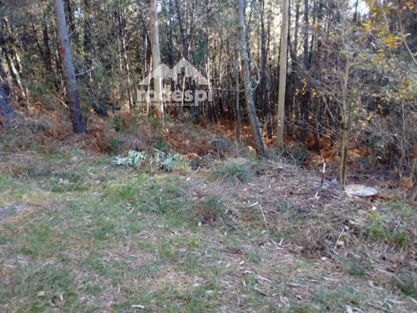 Terreny rústic en venda a A Cañiza, imagen 5