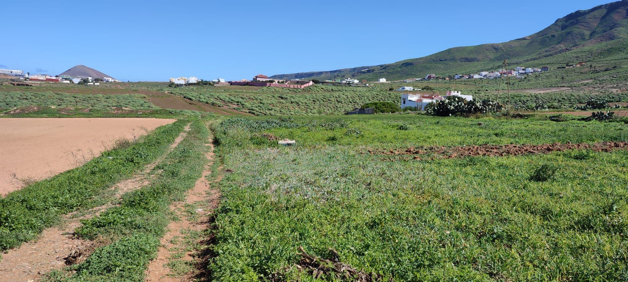 Residencial en venda en Gáldar