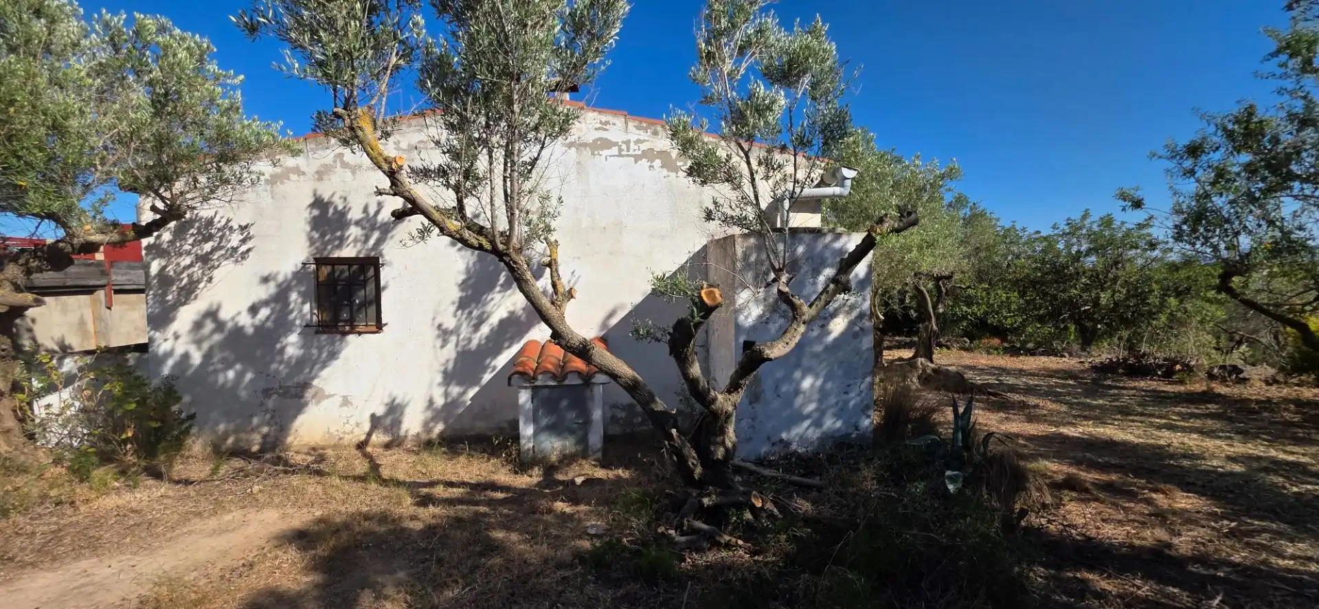 Finca rústica en venda en L'Aldea amb Traster