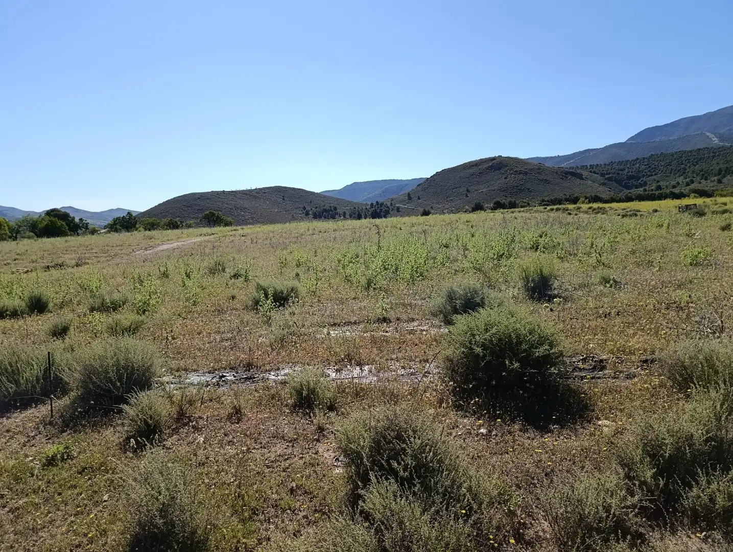 Rural land for sale in Laujar de Andarax, imagen 18