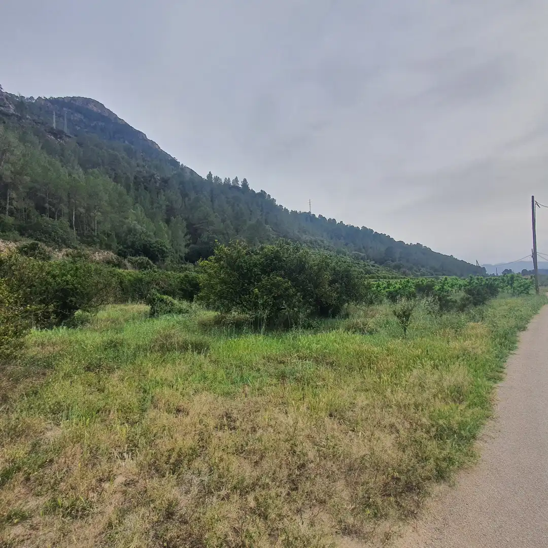 Terreno rústico en venta en Benifallet, imagen 9