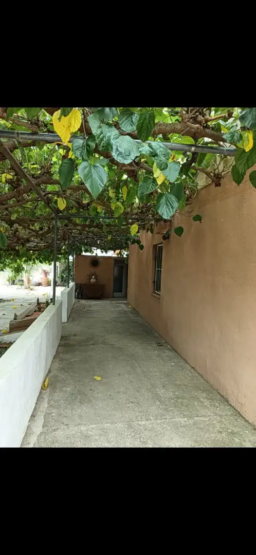 Vista exterior de Casa o chalet en venta en Tortosa con Calefacción, Jardín privado y Terraza