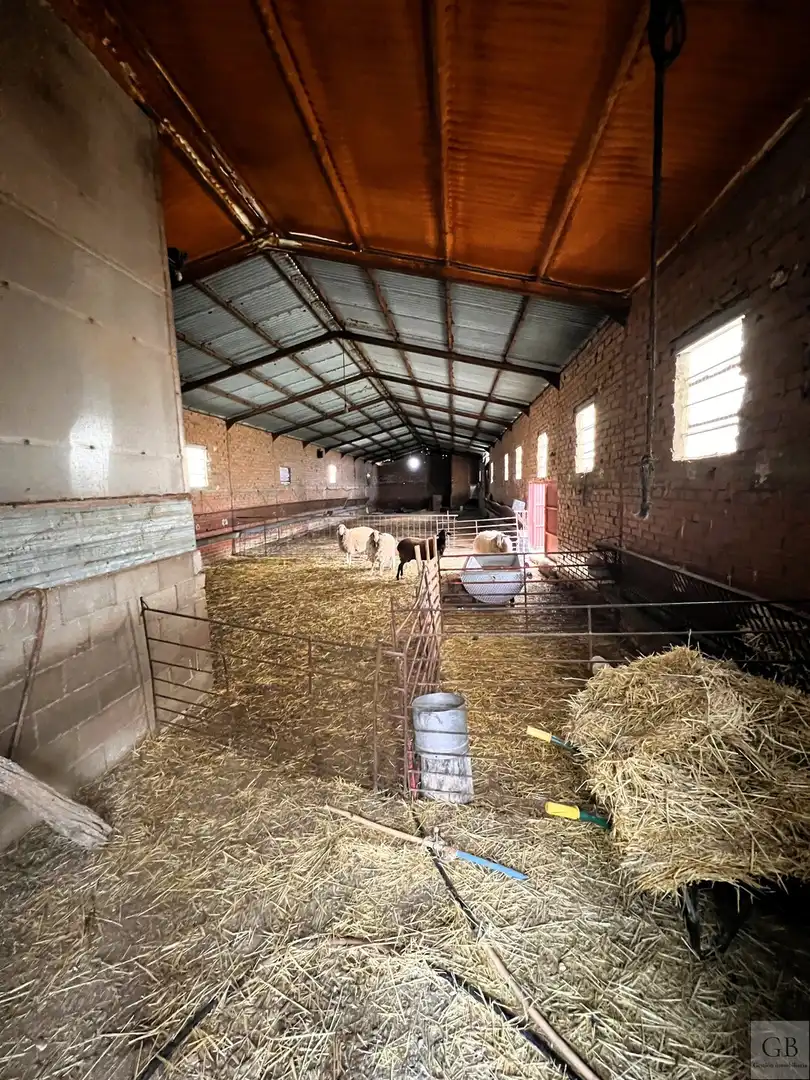 Terrenys i solars en venda a Consuegra, imagen 12