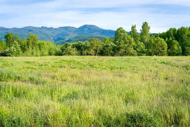 Terreno residencial en Venta en Carracedelo