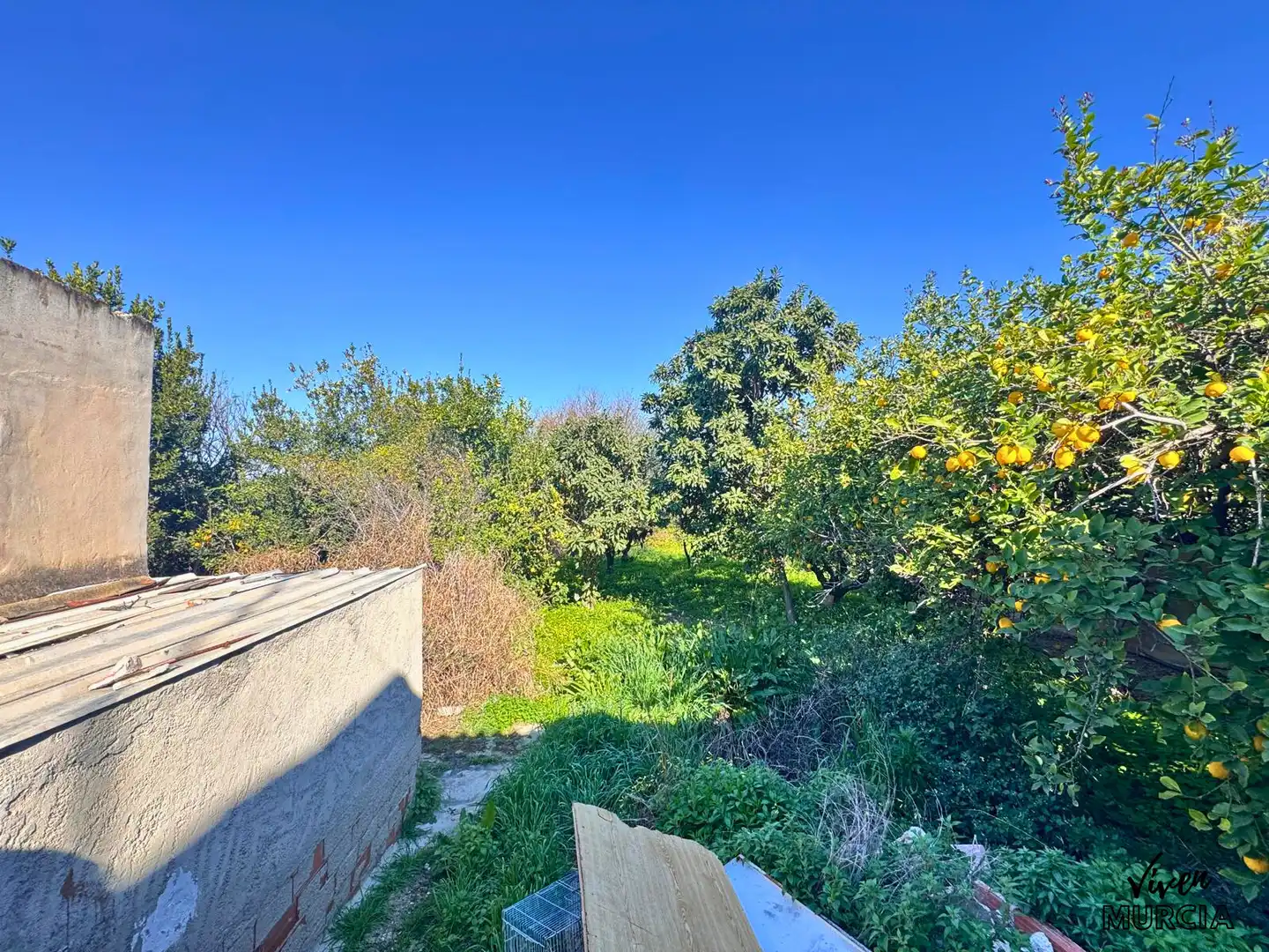Villa à vendre à Pedanías Este, imagen 15
