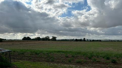 Foto 3 de Finca rústica en venda a Pozoalbero, Jerez de la Frontera