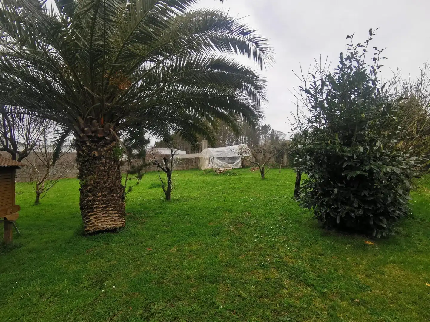 Garden of Houses for sale in Carballo  with Heating, Private garden and Storage room