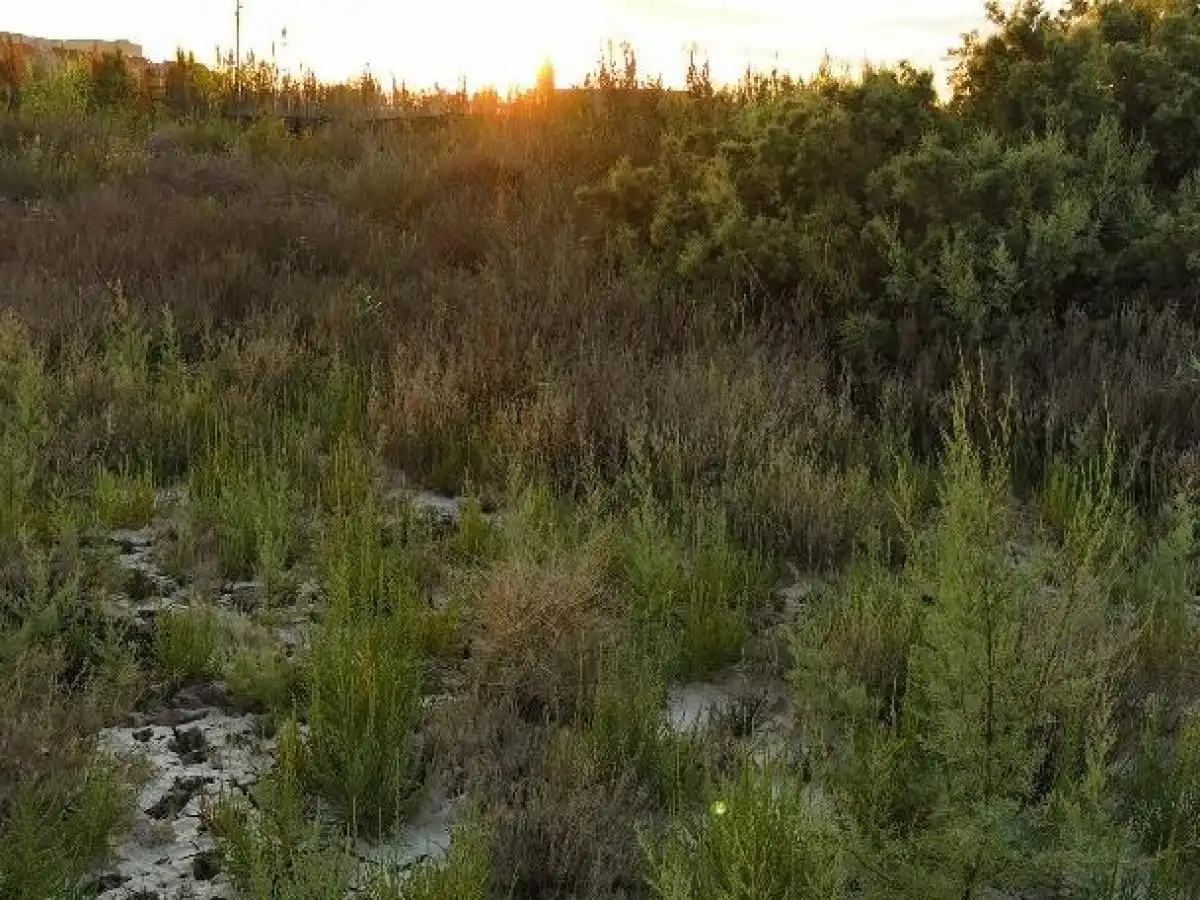 Terreno rustico in vendita a Camino LOS HUERTOS, imagen 36