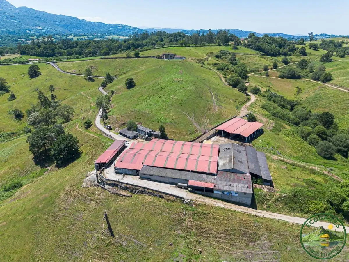 Vista exterior de Casa o chalet en venta en Nava con Calefacción, Jardín privado y Parquet
