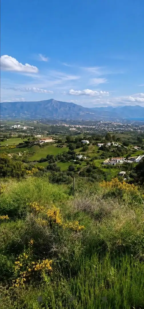 Terrain rustique à vendre à La Cala Golf - Lagar Martell, imagen 3
