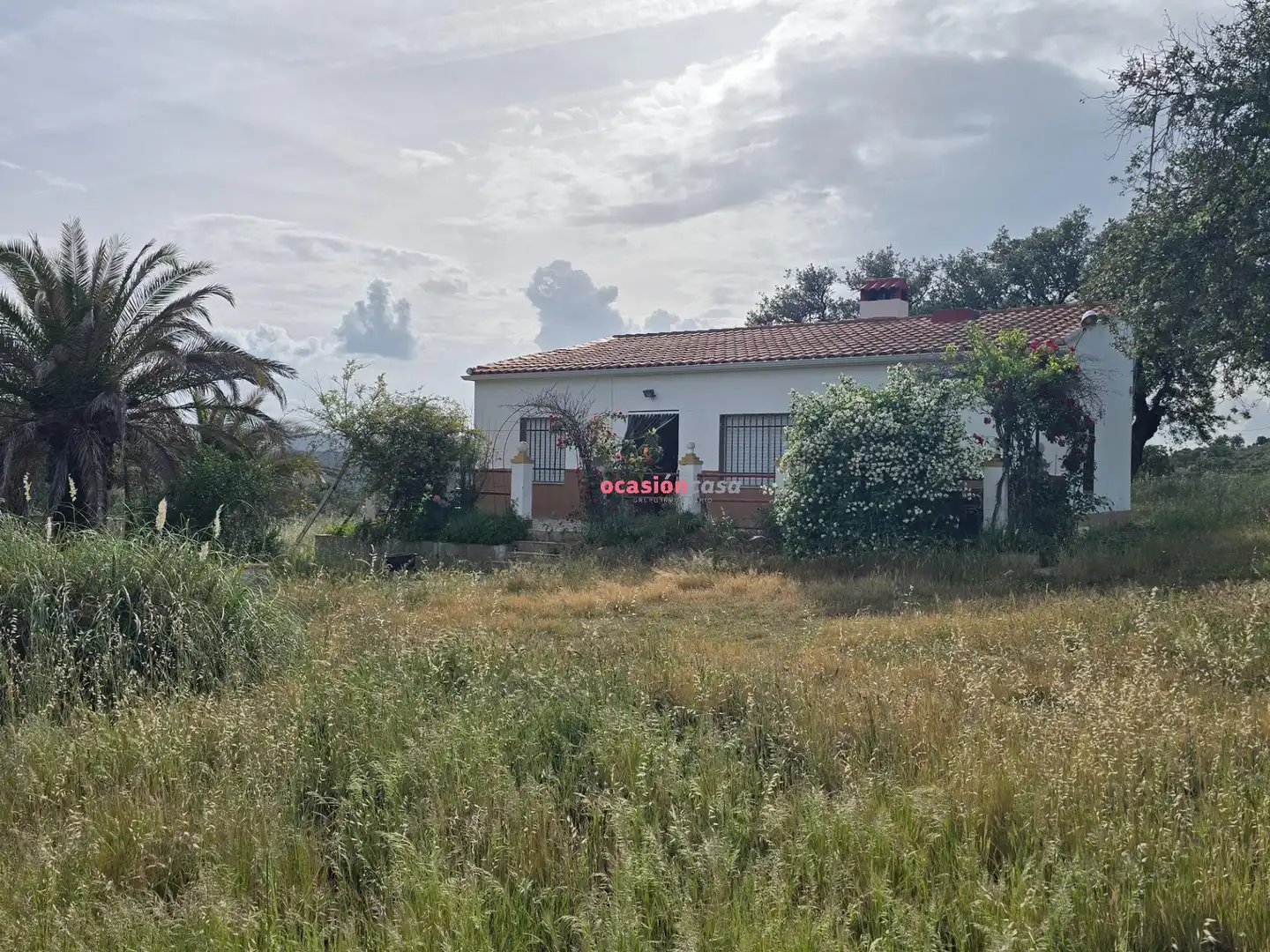 Casa o xalet en venda en Alcaracejos