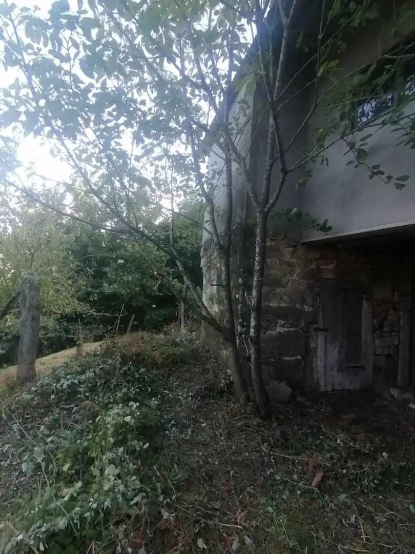 Haus zum Verkauf in Arbo, imagen 5