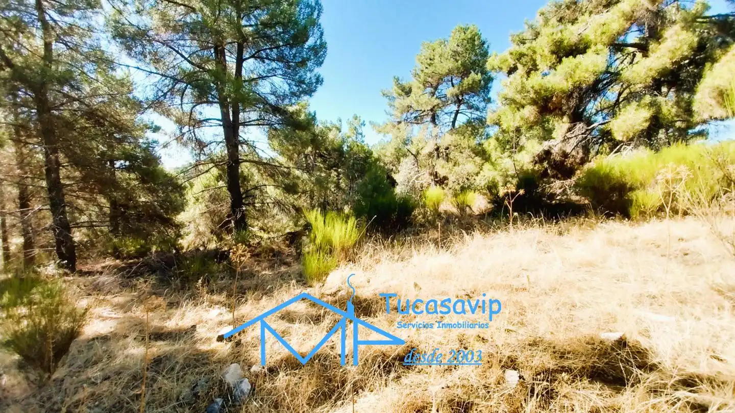 Terreno en venta en Cadalso de los Vidrios