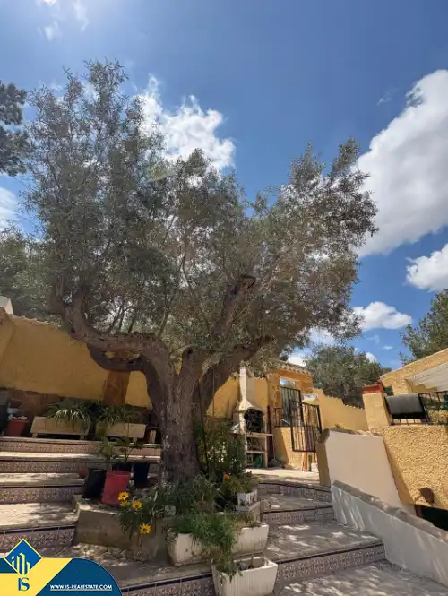 Villa mit Pool zum Verkauf in Orihuela Costa, imagen 36