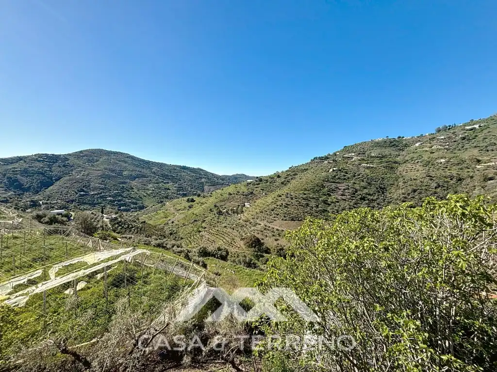 Detached house with pool for sale in Diseminados Cerrillo El, imagen 54