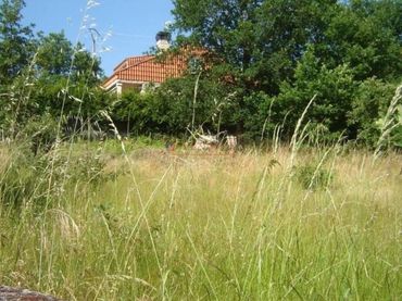 Terreno residenziale in vendita a O Pereiro de Aguiar