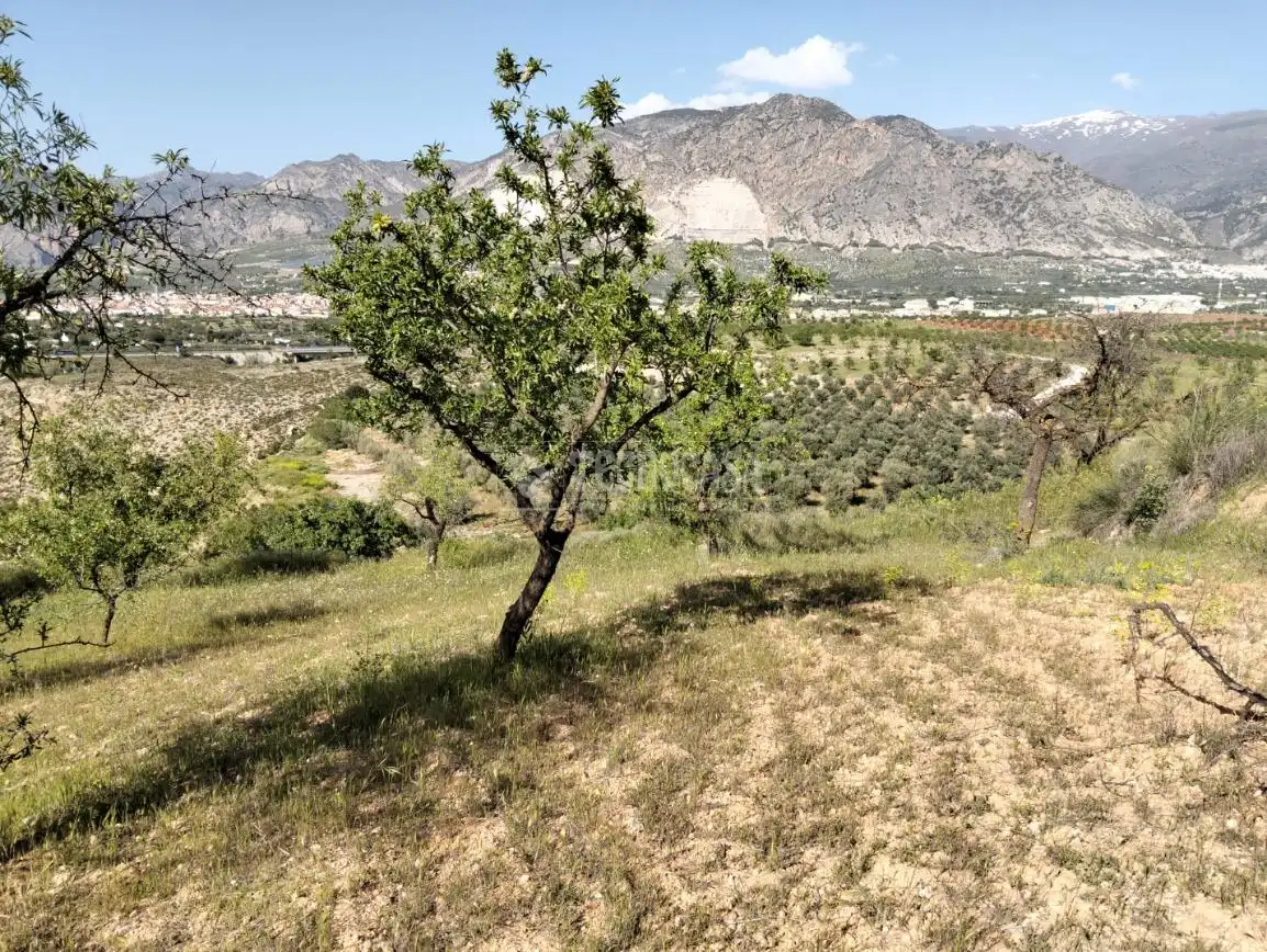 Rural land for sale in Dúrcal, imagen 10