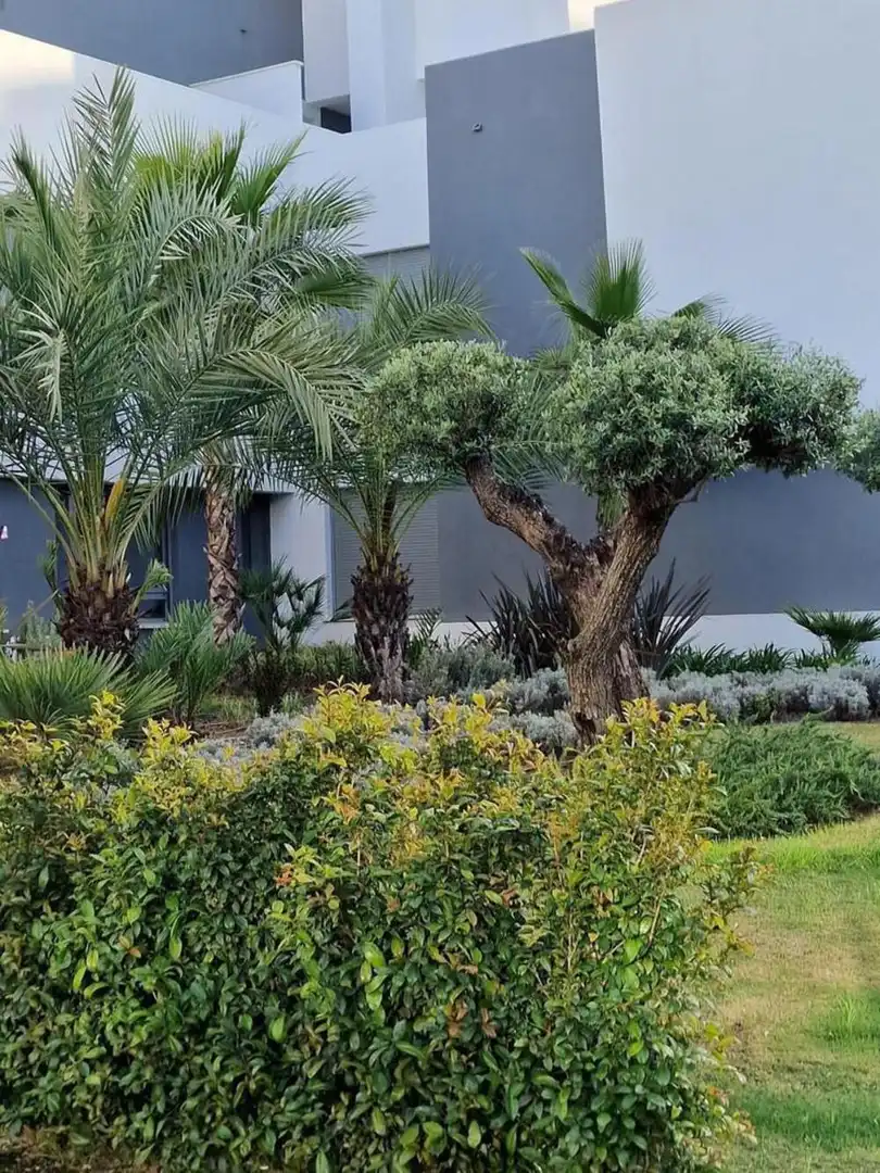 Apartament amb piscina de lloguer a Selwo, imagen 18