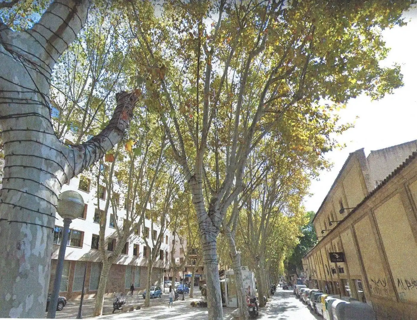 Vista exterior de Edifici en venda en  Palma de Mallorca