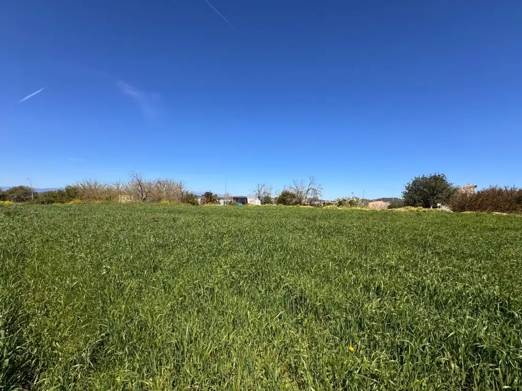 Terreno residenziale in vendita a Montuïri, imagen 3