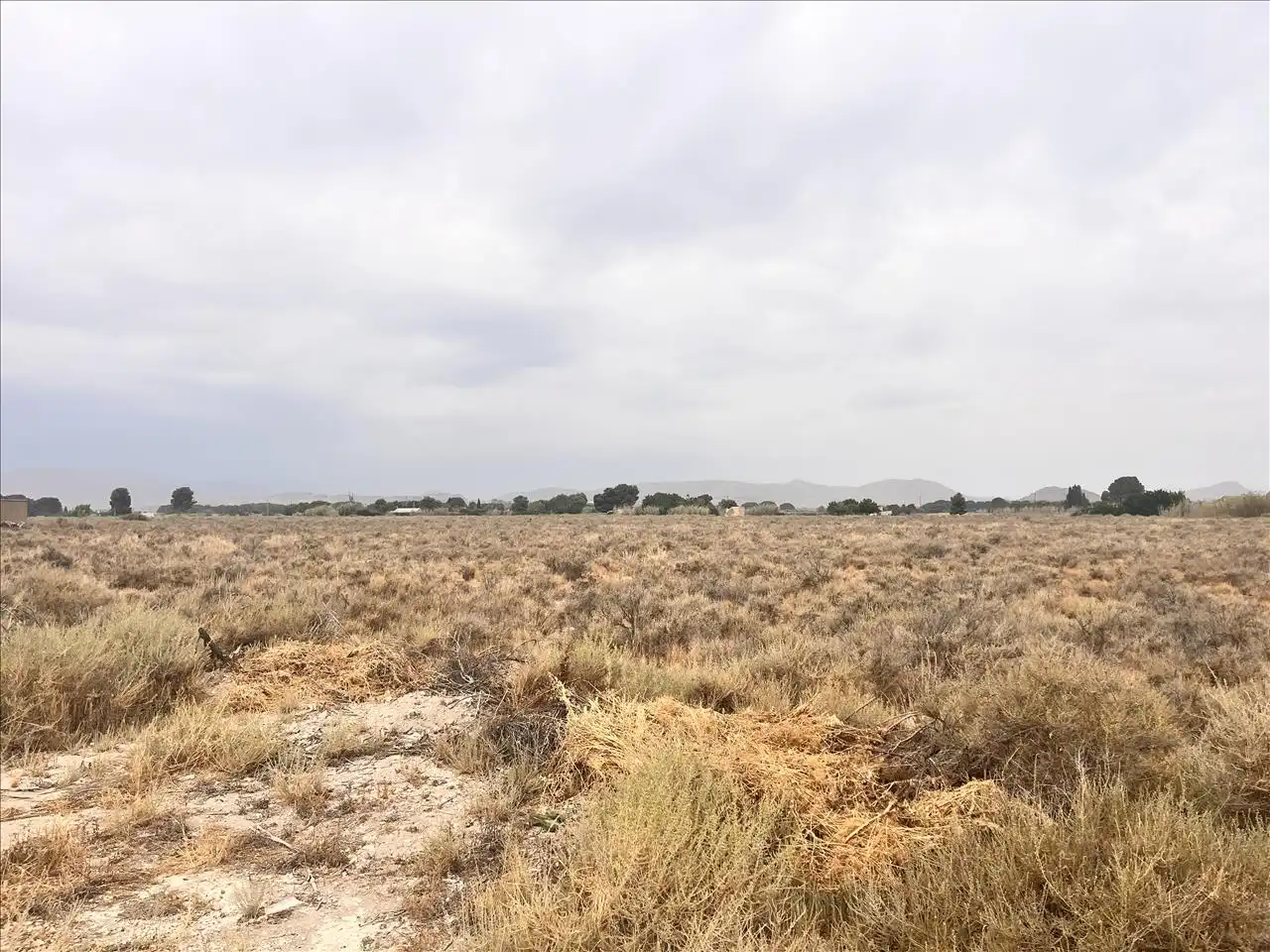 Land for sale in Las Tiesas (Poligono 47 Parcela 190), 50, -1, Las Tiesas