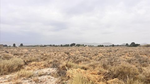 Photo 2 of Land for sale in Las Tiesas (poligono 47 Parcela 190), 50, -1, Las Tiesas, Villena