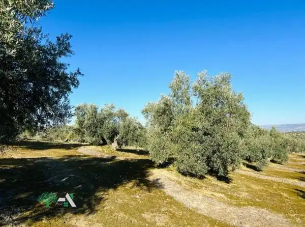 Terrenos y solares en venta en Úbeda, imagen 14