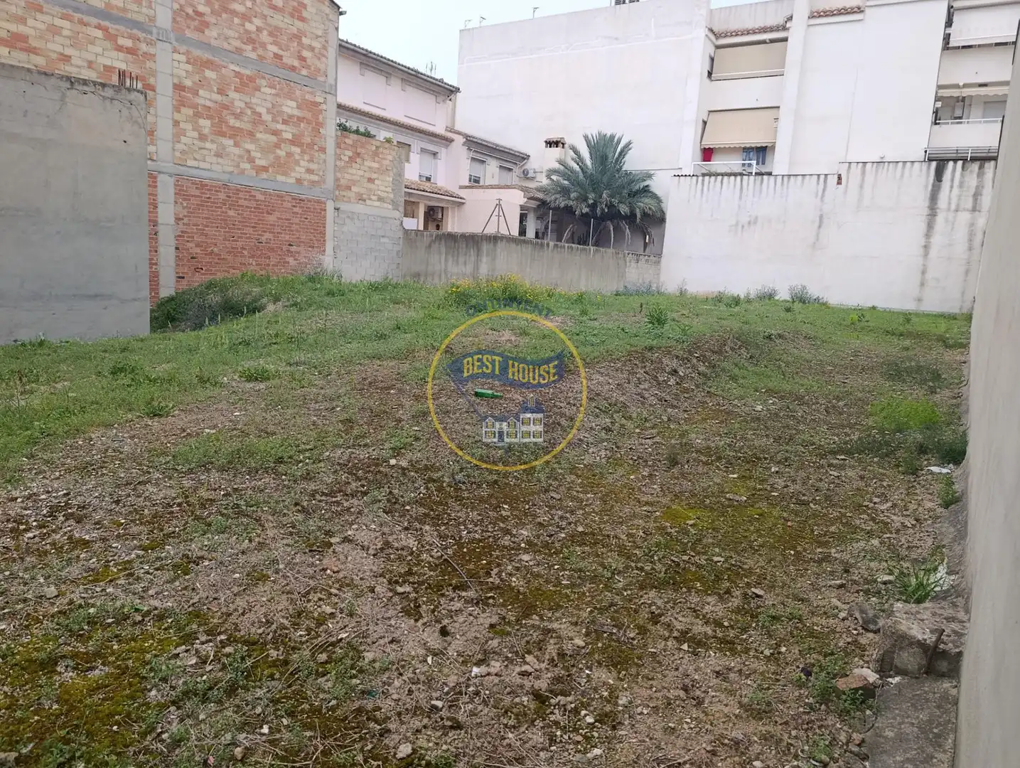 Terreni e lotti in vendita a Albaida