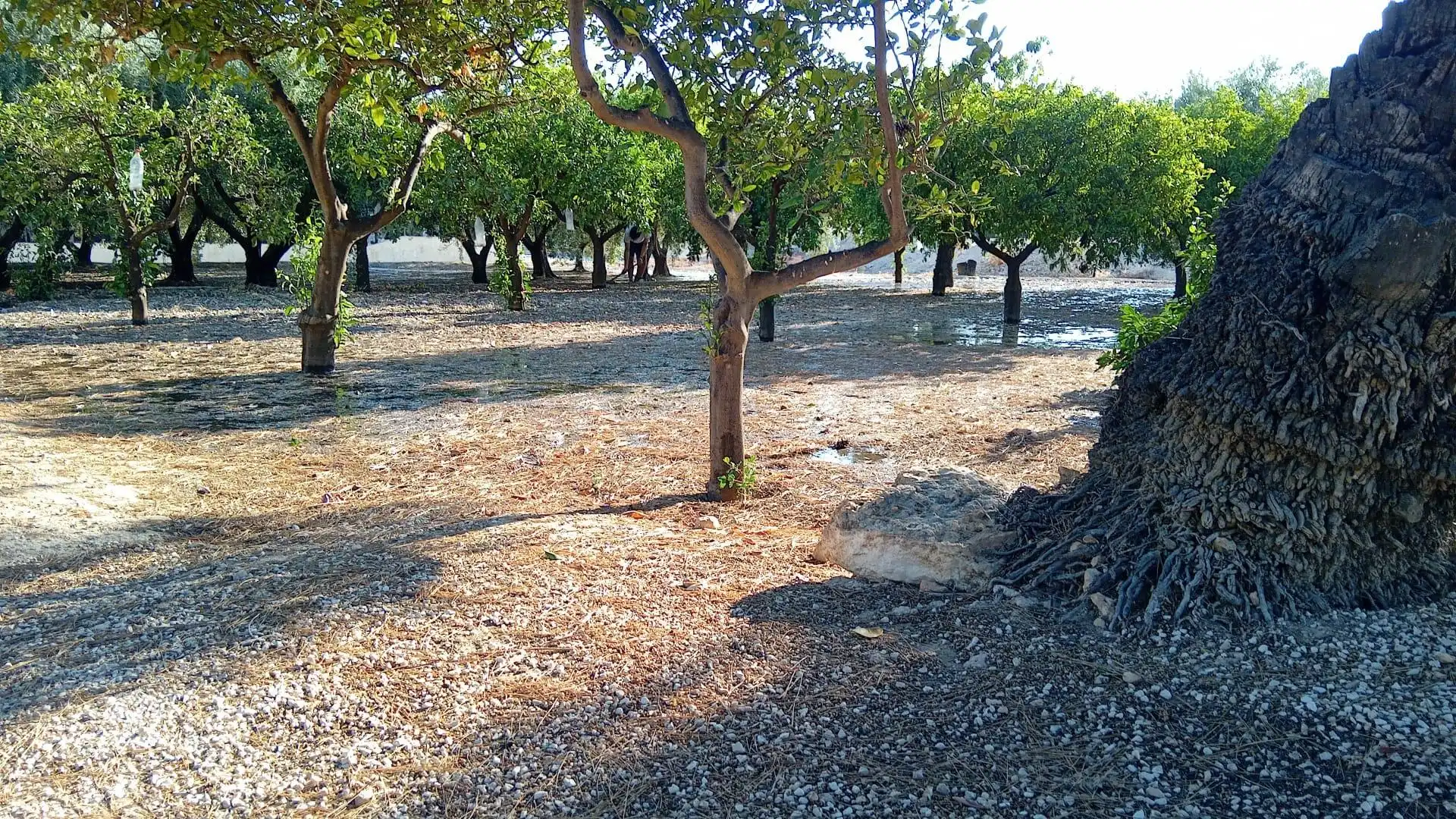 Villa à vendre à Jubalcoi, imagen 26