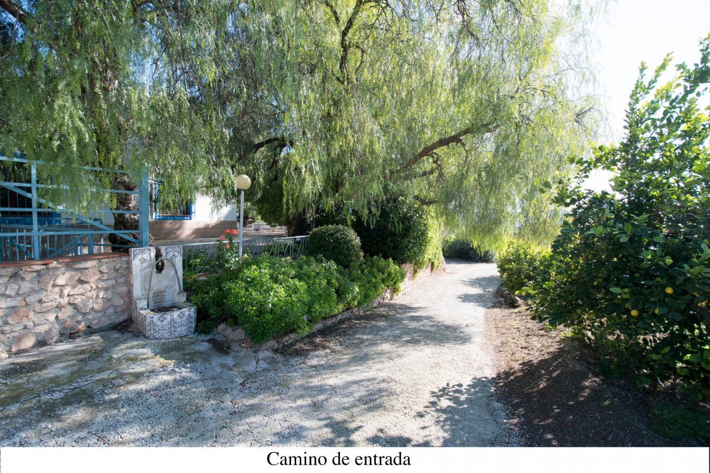 Garden of House or chalet for sale in Mula  with Private garden, Storage room and Jacuzzi