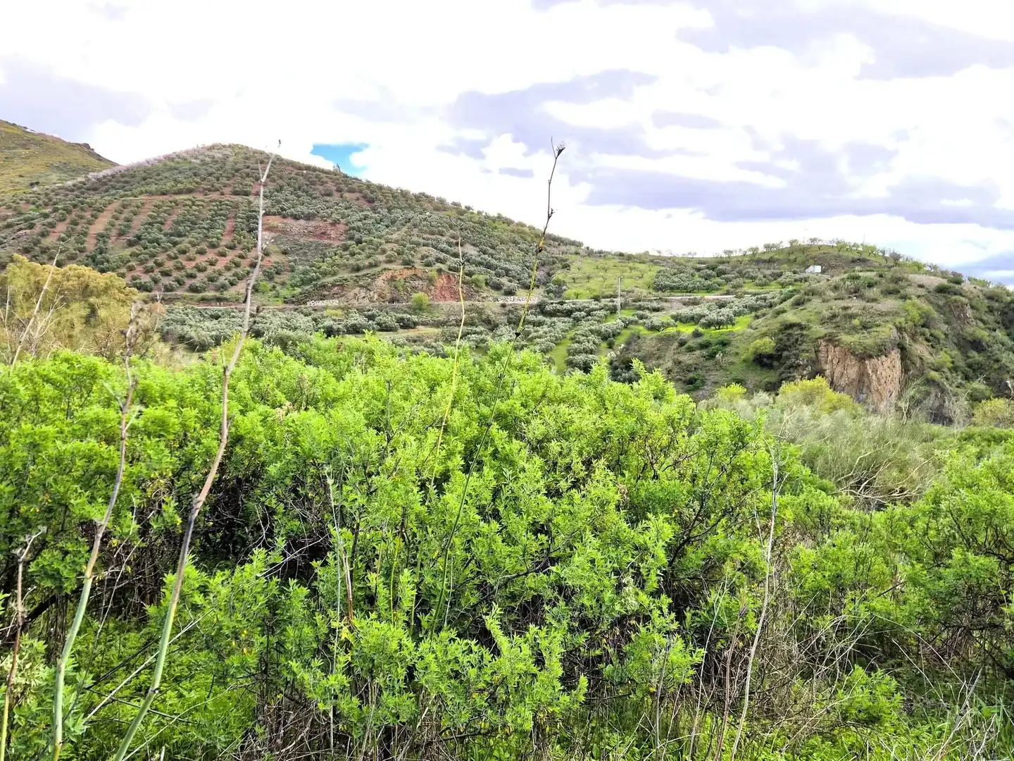 Wohnbaugrundstück zum Verkauf in Zona de la Vega, imagen 11