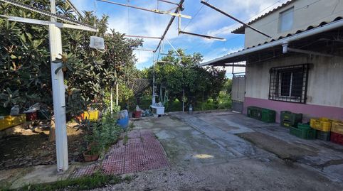 VENTA DE FINCA CON NARANJOS Y LIMONEROS, imatge 2