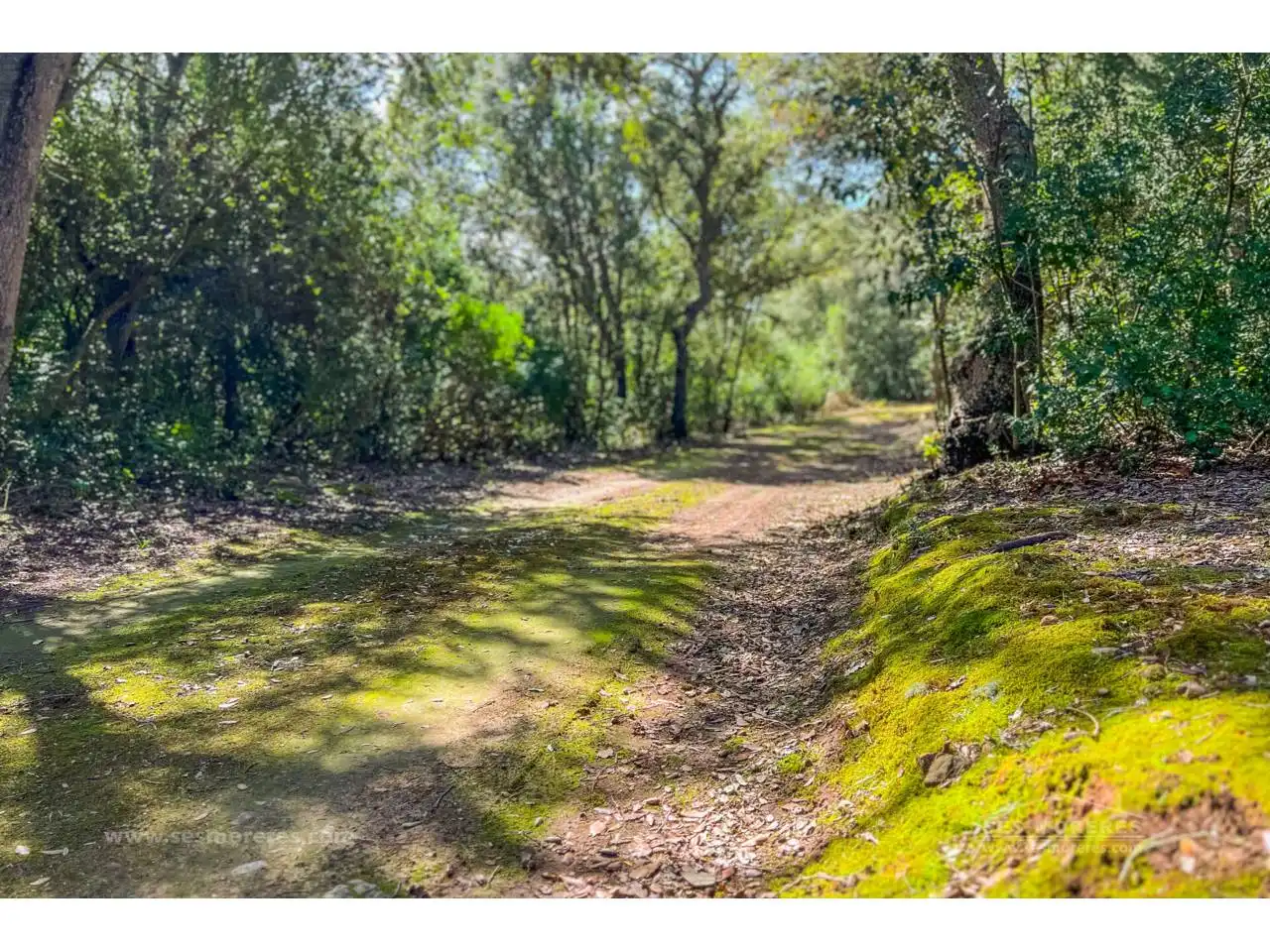 Finca rústica en venda en Es Mercadal amb Jardí privat i Terrassa