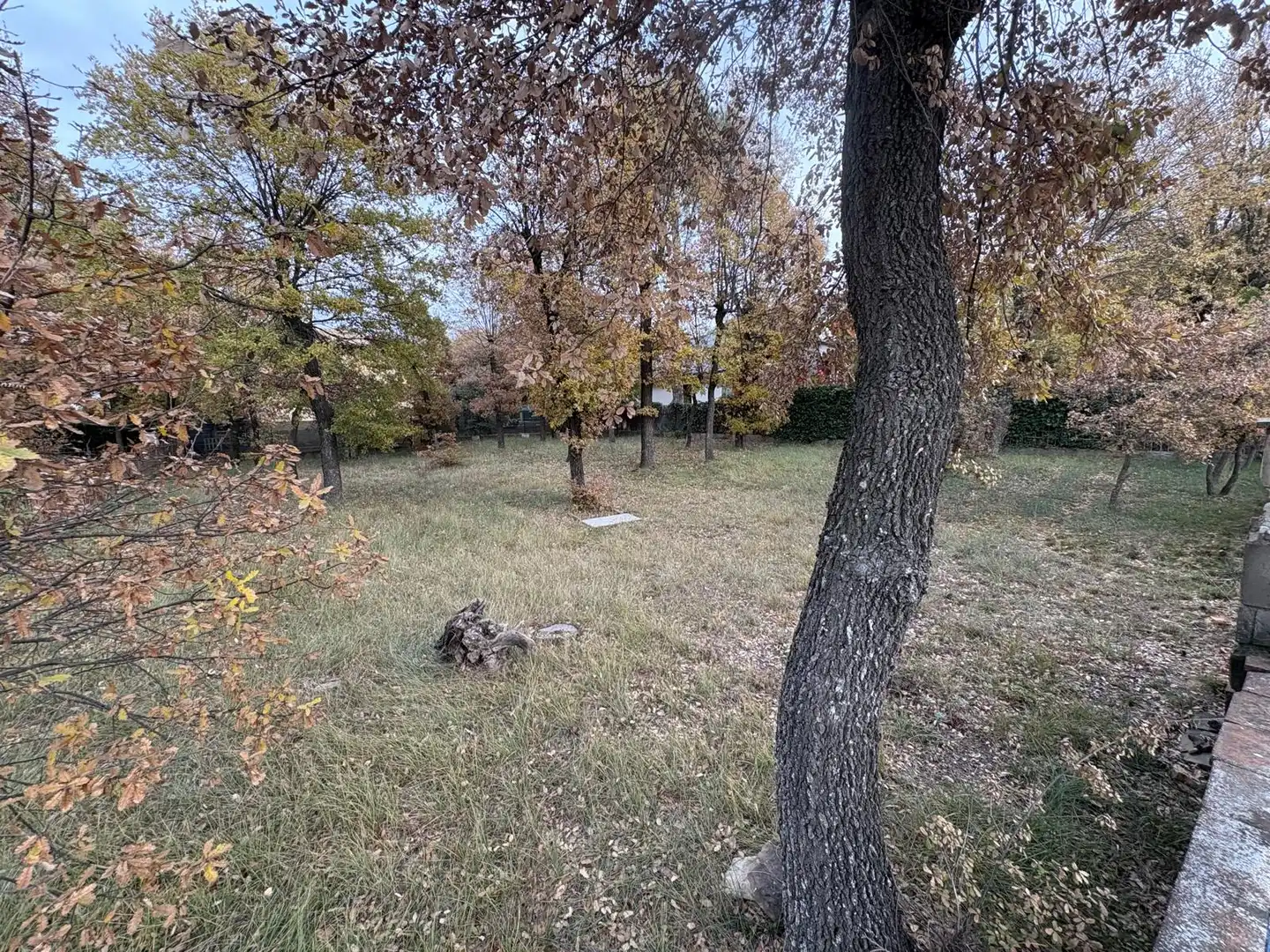 Terreno residenziale in vendita a Olius, imagen 7
