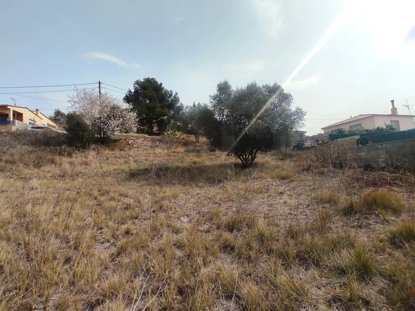 Terrenys i solars en venda a La Bisbal del Penedès, imagen 30