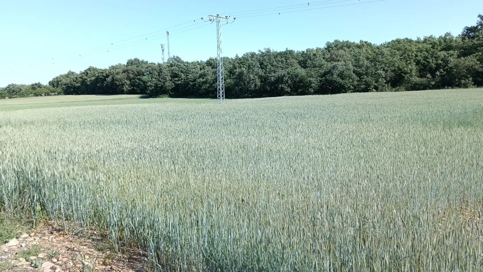 Land for sale in Ibeas de Juarros