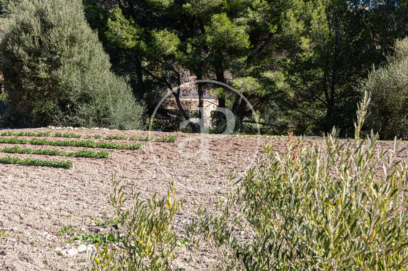 Residential for sale in Puigpunyent