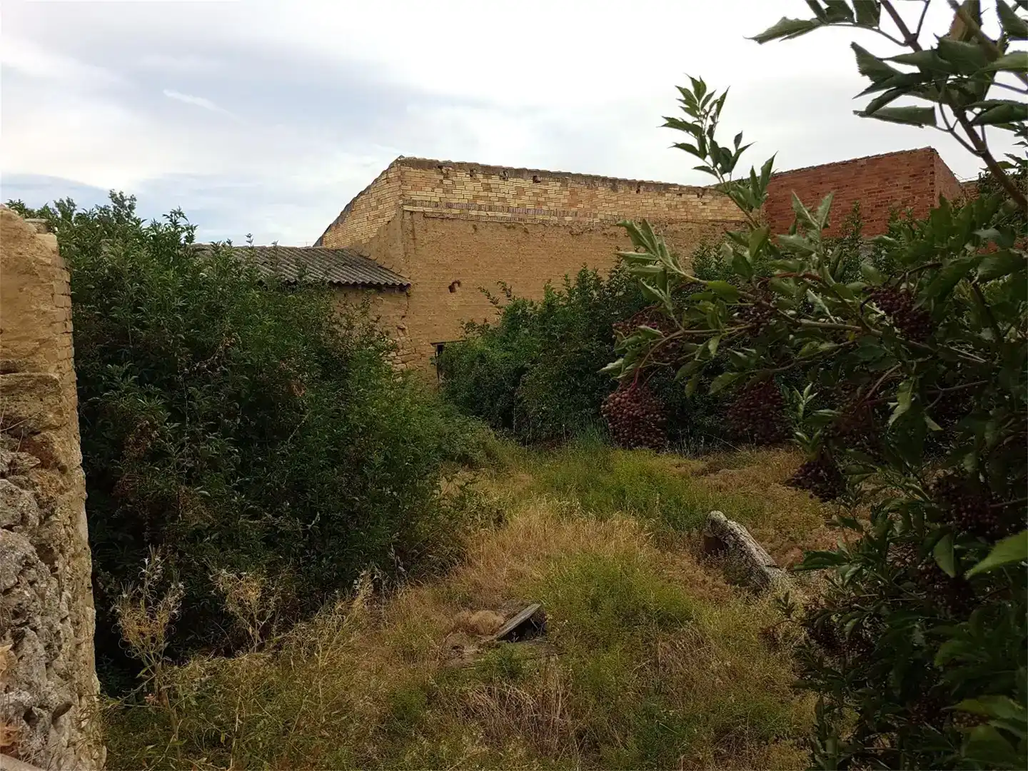 Terreno en venta en Valles de Palenzuela, Burgos