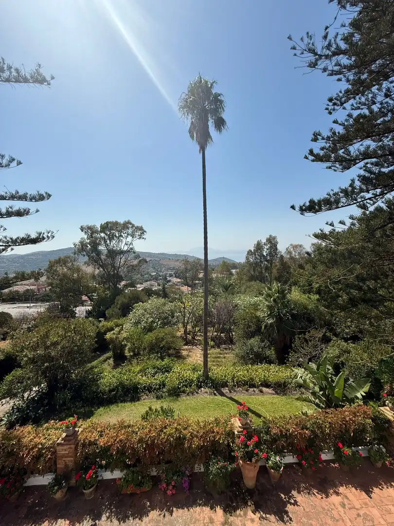 Vista exterior de Casa o chalet en venta en Algeciras con Jardín privado, Terraza y Piscina