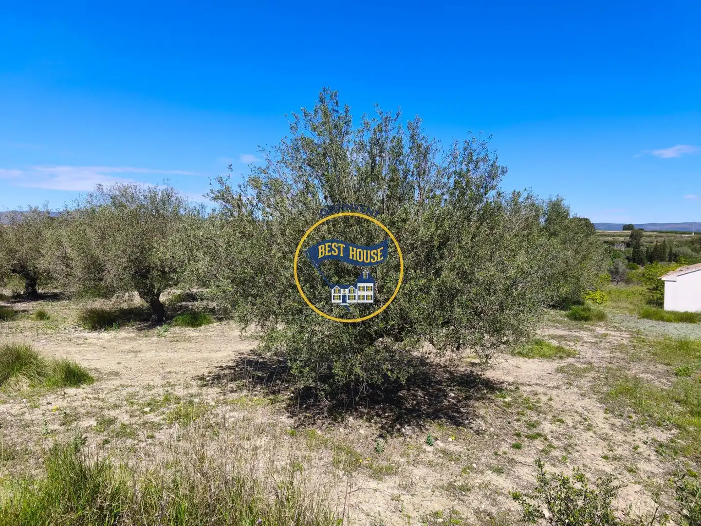 House for sale in Albaida, imagen 33