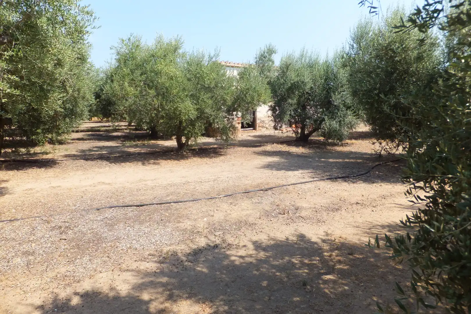 Terreno rústico en venta en Vial Camino, imagen 28
